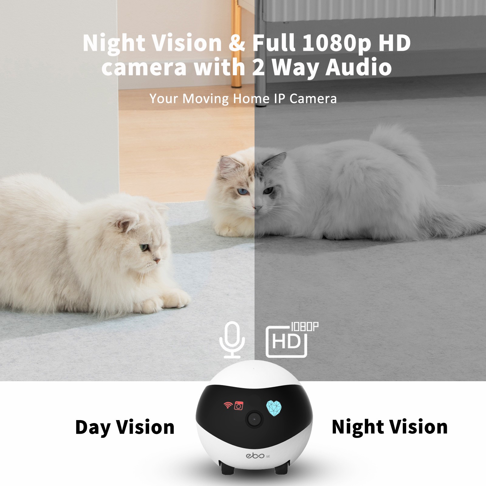 EBO SE Smart Home Robot Compan - Home Security Robot recensie en prijs